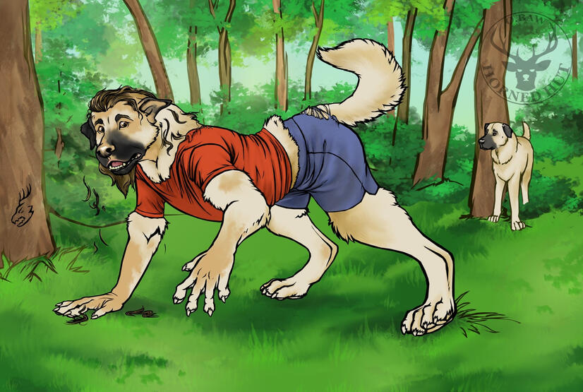 Fullbody